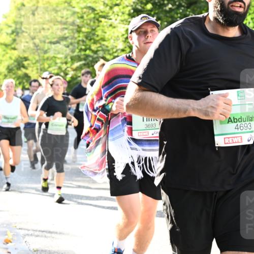 20.09.2026 - PSD Bank Halbmarathon Dr. Thomas Lammeyer http://msf.ph/oto/10501601 20.09.2026 10:55:39 Laufen 3693, 4693, 3694 meine-sportfotos.de