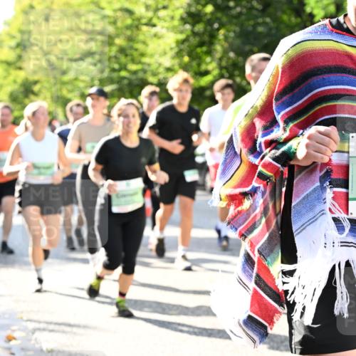 20.09.2026 - PSD Bank Halbmarathon Dr. Thomas Lammeyer http://msf.ph/oto/10501605 20.09.2026 10:55:40 Laufen 3693 meine-sportfotos.de