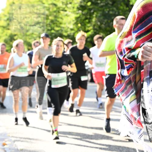 20.09.2026 - PSD Bank Halbmarathon Dr. Thomas Lammeyer http://msf.ph/oto/10501606 20.09.2026 10:55:40 Laufen 31 meine-sportfotos.de