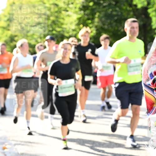 20.09.2026 - PSD Bank Halbmarathon Dr. Thomas Lammeyer http://msf.ph/oto/10501607 20.09.2026 10:55:40 Laufen  meine-sportfotos.de