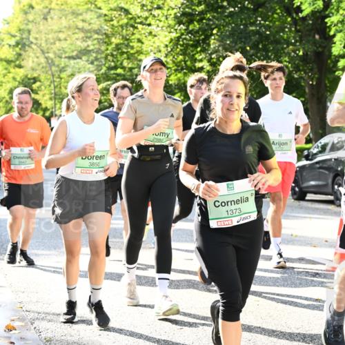20.09.2026 - PSD Bank Halbmarathon Dr. Thomas Lammeyer http://msf.ph/oto/10501610 20.09.2026 10:55:41 Laufen 3947, 46, 3850, 2989, 1772, 3339, 1373 meine-sportfotos.de