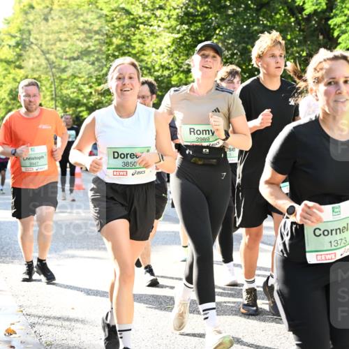 20.09.2026 - PSD Bank Halbmarathon Dr. Thomas Lammeyer http://msf.ph/oto/10501613 20.09.2026 10:55:41 Laufen 3947, 3850, 2989, 23, 1373 meine-sportfotos.de