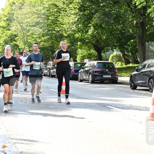 20.09.2026 - PSD Bank Halbmarathon Dr. Thomas Lammeyer http://msf.ph/oto/10501630 20.09.2026 10:55:44 Laufen 4477, 3403, 4683 meine-sportfotos.de