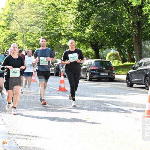 20.09.2026 - PSD Bank Halbmarathon Dr. Thomas Lammeyer http://msf.ph/oto/10501634 20.09.2026 10:55:45 Laufen 4615, 4477, 3403, 3471, 4683 meine-sportfotos.de