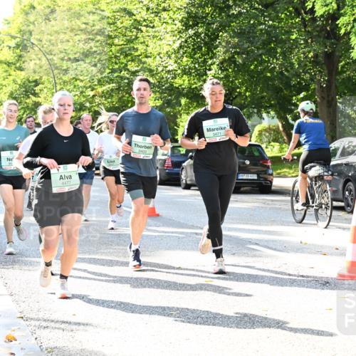 20.09.2026 - PSD Bank Halbmarathon Dr. Thomas Lammeyer http://msf.ph/oto/10501639 20.09.2026 10:55:45 Laufen 46, 4477, 3403, 3471, 1, 4683 meine-sportfotos.de