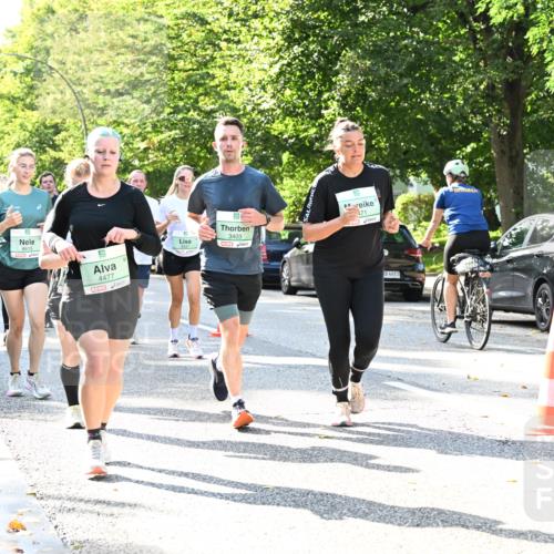 20.09.2026 - PSD Bank Halbmarathon Dr. Thomas Lammeyer http://msf.ph/oto/10501640 20.09.2026 10:55:46 Laufen 4615, 4477, 3403, 71, 4683 meine-sportfotos.de