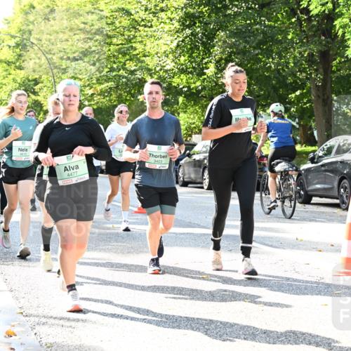 20.09.2026 - PSD Bank Halbmarathon Dr. Thomas Lammeyer http://msf.ph/oto/10501641 20.09.2026 10:55:46 Laufen 4615, 4477, 3403 meine-sportfotos.de