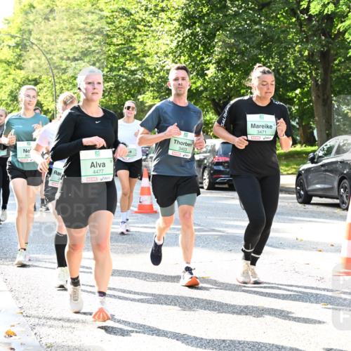 20.09.2026 - PSD Bank Halbmarathon Dr. Thomas Lammeyer http://msf.ph/oto/10501643 20.09.2026 10:55:46 Laufen 5, 461, 4477, 3403, 50, 3471 meine-sportfotos.de