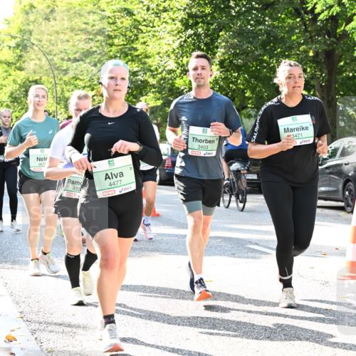 20.09.2026 - PSD Bank Halbmarathon Dr. Thomas Lammeyer http://msf.ph/oto/10501644 20.09.2026 10:55:46 Laufen 4615, 422, 4477, 3403, 4683, 3471 meine-sportfotos.de