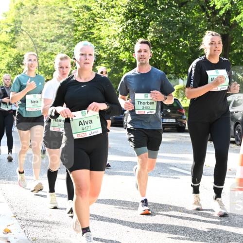 20.09.2026 - PSD Bank Halbmarathon Dr. Thomas Lammeyer http://msf.ph/oto/10501646 20.09.2026 10:55:46 Laufen 4615, 422, 4477, 3403 meine-sportfotos.de