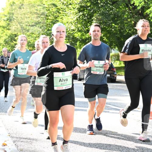 20.09.2026 - PSD Bank Halbmarathon Dr. Thomas Lammeyer http://msf.ph/oto/10501647 20.09.2026 10:55:47 Laufen 4615, 4228, 4477, 5, 3403 meine-sportfotos.de