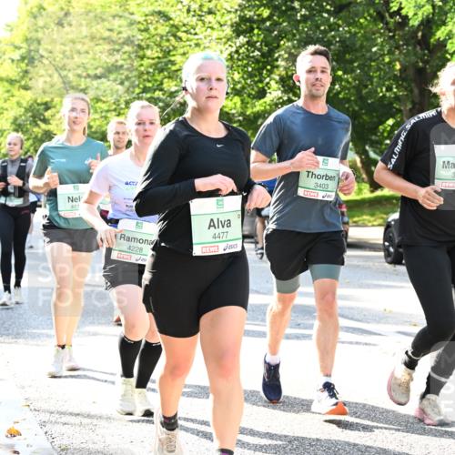 20.09.2026 - PSD Bank Halbmarathon Dr. Thomas Lammeyer http://msf.ph/oto/10501649 20.09.2026 10:55:47 Laufen 461, 4228, 4477, 3403, 3471 meine-sportfotos.de