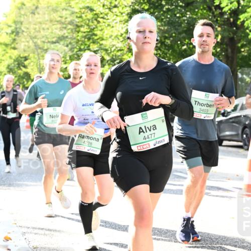 20.09.2026 - PSD Bank Halbmarathon Dr. Thomas Lammeyer http://msf.ph/oto/10501650 20.09.2026 10:55:47 Laufen 461, 4228, 4477, 3403, 3471 meine-sportfotos.de