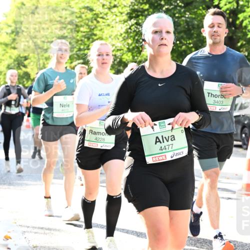 20.09.2026 - PSD Bank Halbmarathon Dr. Thomas Lammeyer http://msf.ph/oto/10501651 20.09.2026 10:55:47 Laufen 4615, 4228, 4477, 3403 meine-sportfotos.de