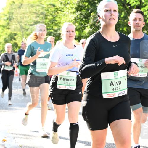 20.09.2026 - PSD Bank Halbmarathon Dr. Thomas Lammeyer http://msf.ph/oto/10501653 20.09.2026 10:55:47 Laufen 4615, 2, 4228, 4477, 03 meine-sportfotos.de