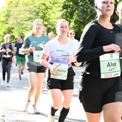 20.09.2026 - PSD Bank Halbmarathon Dr. Thomas Lammeyer http://msf.ph/oto/10501654 20.09.2026 10:55:47 Laufen 228, 4477 meine-sportfotos.de