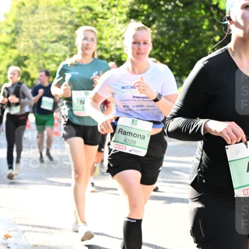 20.09.2026 - PSD Bank Halbmarathon Dr. Thomas Lammeyer http://msf.ph/oto/10501655 20.09.2026 10:55:47 Laufen 4228, 4477 meine-sportfotos.de