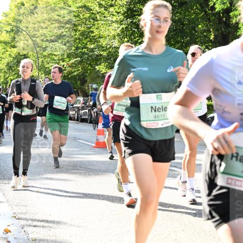 20.09.2026 - PSD Bank Halbmarathon Dr. Thomas Lammeyer http://msf.ph/oto/10501658 20.09.2026 10:55:48 Laufen 31, 3252, 4615, 4228 meine-sportfotos.de