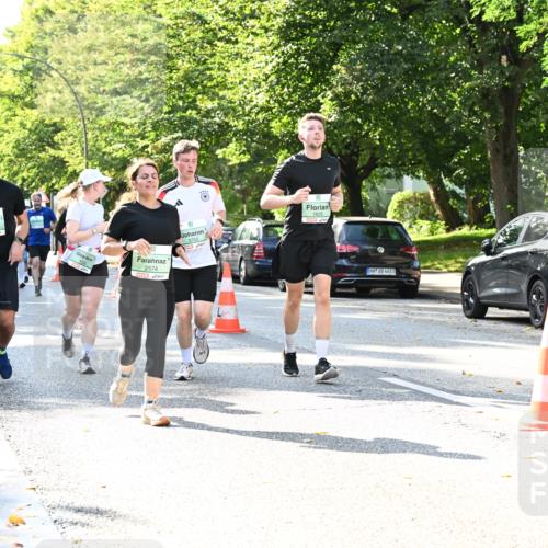 20.09.2026 - PSD Bank Halbmarathon Dr. Thomas Lammeyer http://msf.ph/oto/10501682 20.09.2026 10:55:52 Laufen 1524, 2574, 1935, 4683 meine-sportfotos.de