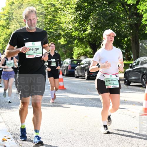 20.09.2026 - PSD Bank Halbmarathon Dr. Thomas Lammeyer http://msf.ph/oto/10501698 20.09.2026 10:55:54 Laufen 1161, 1524 meine-sportfotos.de
