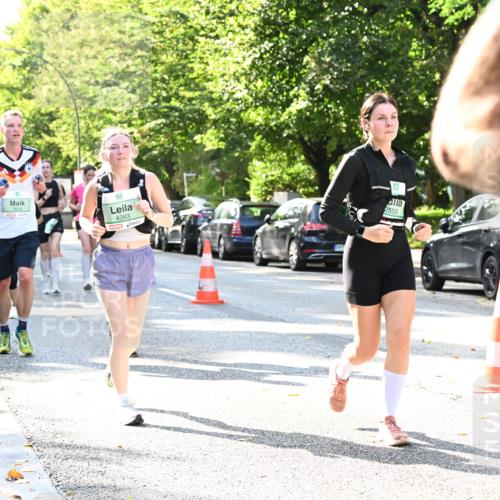 20.09.2026 - PSD Bank Halbmarathon Dr. Thomas Lammeyer http://msf.ph/oto/10501710 20.09.2026 10:55:56 Laufen 4383, 2555 meine-sportfotos.de