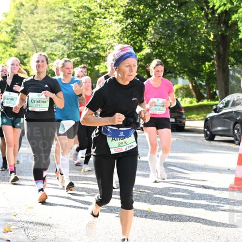 20.09.2026 - PSD Bank Halbmarathon Dr. Thomas Lammeyer http://msf.ph/oto/10501730 20.09.2026 10:56:00 Laufen 1798, 2741, 2436, 2916, 3116 meine-sportfotos.de