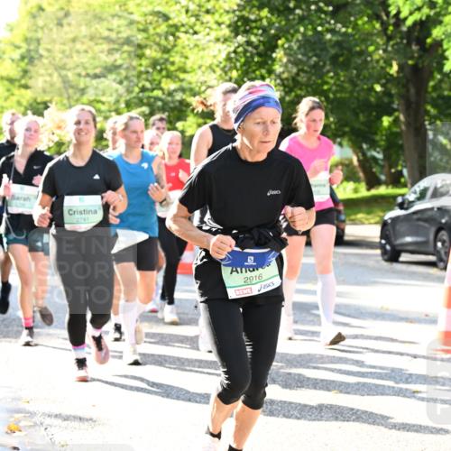 20.09.2026 - PSD Bank Halbmarathon Dr. Thomas Lammeyer http://msf.ph/oto/10501732 20.09.2026 10:56:00 Laufen 2741, 2916 meine-sportfotos.de