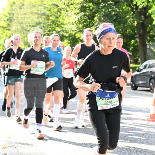 20.09.2026 - PSD Bank Halbmarathon Dr. Thomas Lammeyer http://msf.ph/oto/10501734 20.09.2026 10:56:01 Laufen 2741, 2916 meine-sportfotos.de