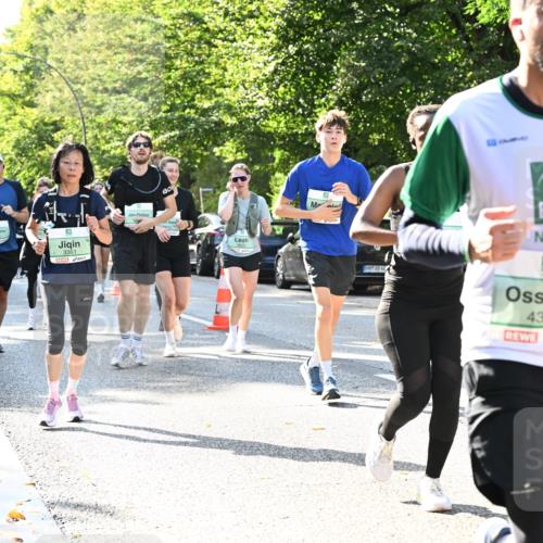20.09.2026 - PSD Bank Halbmarathon Dr. Thomas Lammeyer http://msf.ph/oto/10501754 20.09.2026 10:56:04 Laufen 3361, 4, 4319 meine-sportfotos.de
