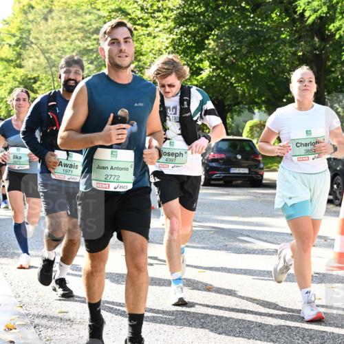 20.09.2026 - PSD Bank Halbmarathon Dr. Thomas Lammeyer http://msf.ph/oto/10501799 20.09.2026 10:56:11 Laufen 215, 3971, 1971, 2772, 4397, 3853, 385 meine-sportfotos.de