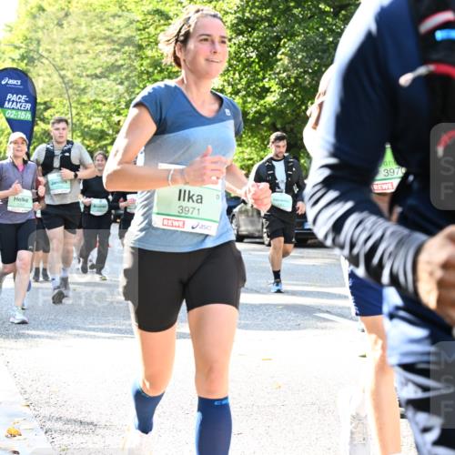 20.09.2026 - PSD Bank Halbmarathon Dr. Thomas Lammeyer http://msf.ph/oto/10501810 20.09.2026 10:56:13 Laufen 02, 15, 1, 3970, 3971, 1971 meine-sportfotos.de