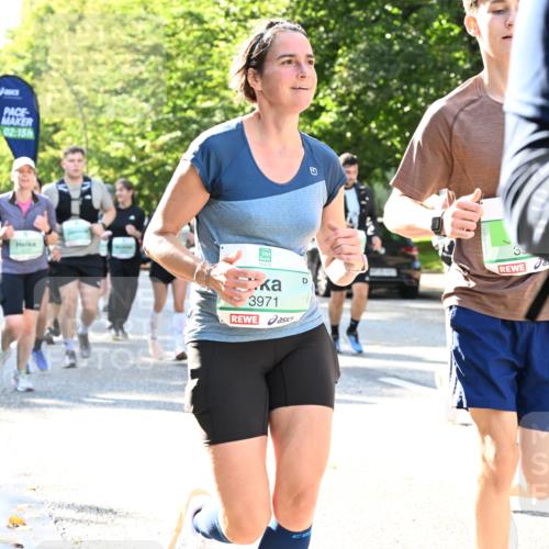 20.09.2026 - PSD Bank Halbmarathon Dr. Thomas Lammeyer http://msf.ph/oto/10501811 20.09.2026 10:56:13 Laufen 02, 15, 3971 meine-sportfotos.de