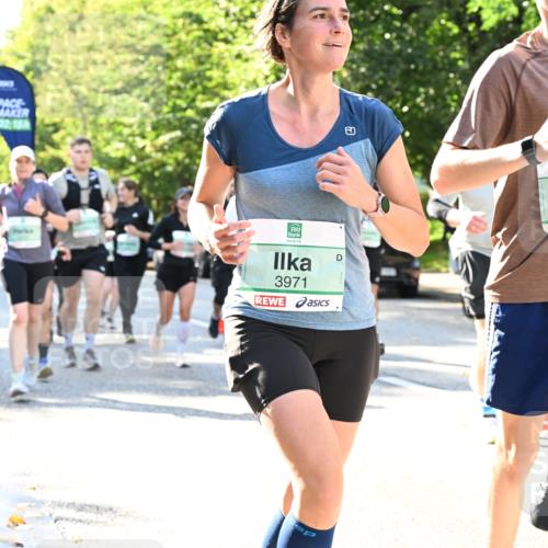 20.09.2026 - PSD Bank Halbmarathon Dr. Thomas Lammeyer http://msf.ph/oto/10501812 20.09.2026 10:56:13 Laufen 02, 15, 3971, 3970 meine-sportfotos.de
