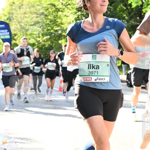 20.09.2026 - PSD Bank Halbmarathon Dr. Thomas Lammeyer http://msf.ph/oto/10501813 20.09.2026 10:56:13 Laufen 02, 15, 3971, 3970 meine-sportfotos.de