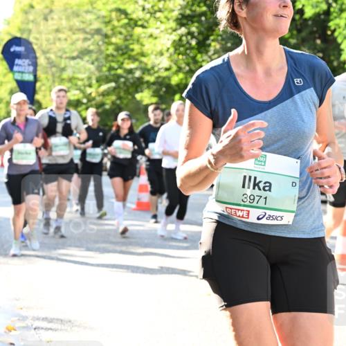 20.09.2026 - PSD Bank Halbmarathon Dr. Thomas Lammeyer http://msf.ph/oto/10501814 20.09.2026 10:56:13 Laufen 3971 meine-sportfotos.de