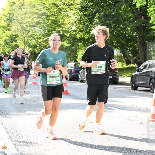 20.09.2026 - PSD Bank Halbmarathon Dr. Thomas Lammeyer http://msf.ph/oto/10501897 20.09.2026 10:56:26 Laufen 2373, 3905 meine-sportfotos.de