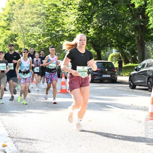 20.09.2026 - PSD Bank Halbmarathon Dr. Thomas Lammeyer http://msf.ph/oto/10501902 20.09.2026 10:56:28 Laufen 2, 2414 meine-sportfotos.de