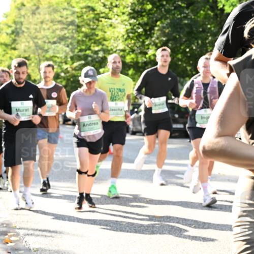 20.09.2026 - PSD Bank Halbmarathon Dr. Thomas Lammeyer http://msf.ph/oto/10501931 20.09.2026 10:56:33 Laufen 1041 meine-sportfotos.de