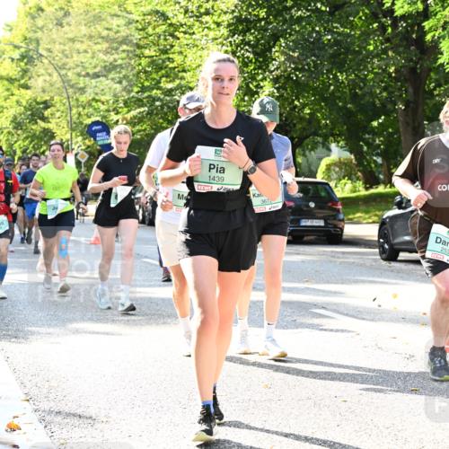 20.09.2026 - PSD Bank Halbmarathon Dr. Thomas Lammeyer http://msf.ph/oto/10501981 20.09.2026 10:56:40 Laufen 1439, 3672, 38, 4683, 2530 meine-sportfotos.de