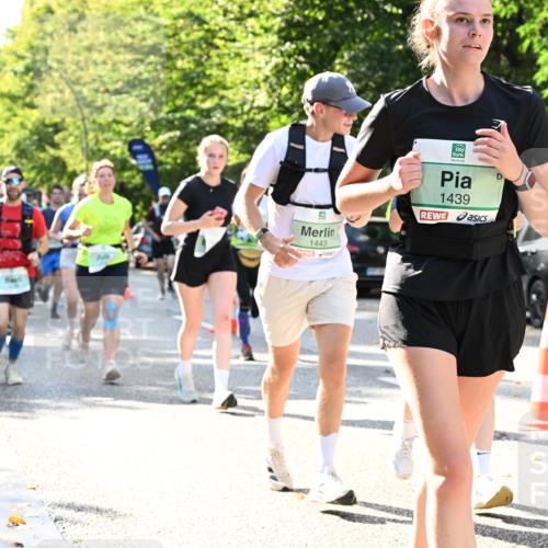 20.09.2026 - PSD Bank Halbmarathon Dr. Thomas Lammeyer http://msf.ph/oto/10501986 20.09.2026 10:56:41 Laufen 1443, 1439 meine-sportfotos.de