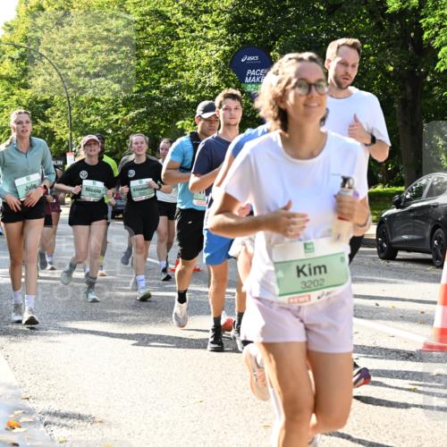 20.09.2026 - PSD Bank Halbmarathon Dr. Thomas Lammeyer http://msf.ph/oto/10502017 20.09.2026 10:56:45 Laufen 3463, 02, 1, 3202 meine-sportfotos.de