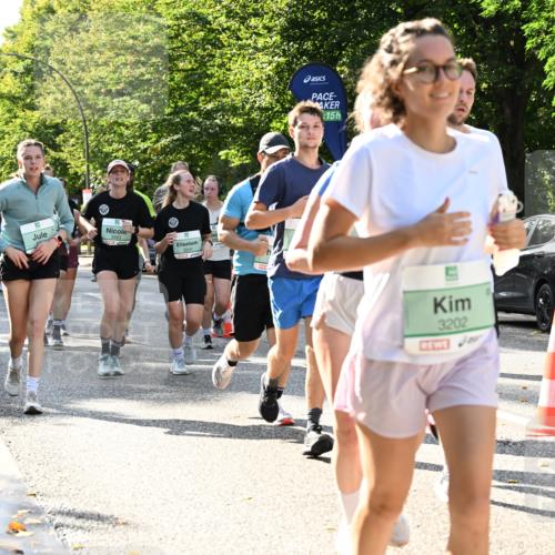 20.09.2026 - PSD Bank Halbmarathon Dr. Thomas Lammeyer http://msf.ph/oto/10502018 20.09.2026 10:56:45 Laufen 15, 3202 meine-sportfotos.de