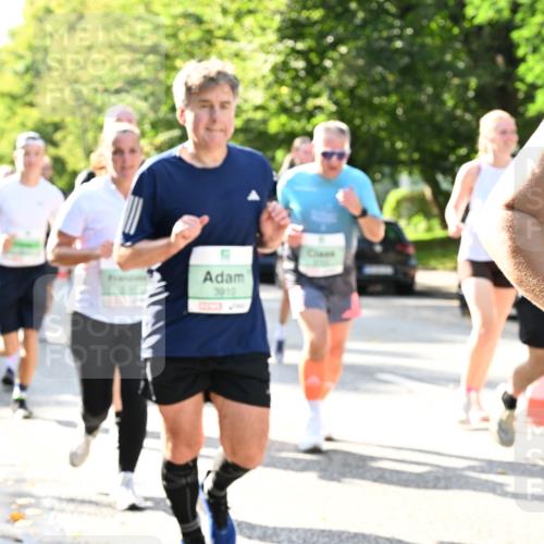 20.09.2026 - PSD Bank Halbmarathon Dr. Thomas Lammeyer http://msf.ph/oto/10502105 20.09.2026 10:56:54 Laufen 3910 meine-sportfotos.de