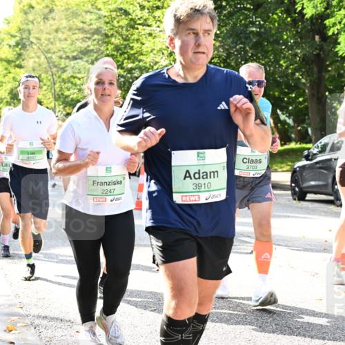 20.09.2026 - PSD Bank Halbmarathon Dr. Thomas Lammeyer http://msf.ph/oto/10502108 20.09.2026 10:56:55 Laufen 3560, 4647, 2247, 3910, 3703, 1201 meine-sportfotos.de