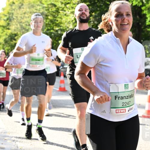 20.09.2026 - PSD Bank Halbmarathon Dr. Thomas Lammeyer http://msf.ph/oto/10502115 20.09.2026 10:56:56 Laufen 4647, 37, 2247 meine-sportfotos.de