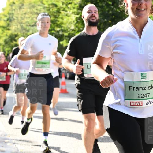 20.09.2026 - PSD Bank Halbmarathon Dr. Thomas Lammeyer http://msf.ph/oto/10502117 20.09.2026 10:56:56 Laufen 4647, 2247 meine-sportfotos.de