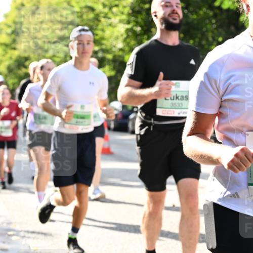 20.09.2026 - PSD Bank Halbmarathon Dr. Thomas Lammeyer http://msf.ph/oto/10502118 20.09.2026 10:56:56 Laufen 3533, 2247 meine-sportfotos.de