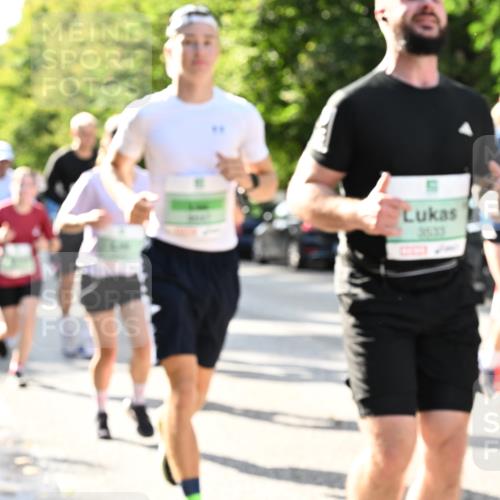20.09.2026 - PSD Bank Halbmarathon Dr. Thomas Lammeyer http://msf.ph/oto/10502121 20.09.2026 10:56:56 Laufen 3535 meine-sportfotos.de