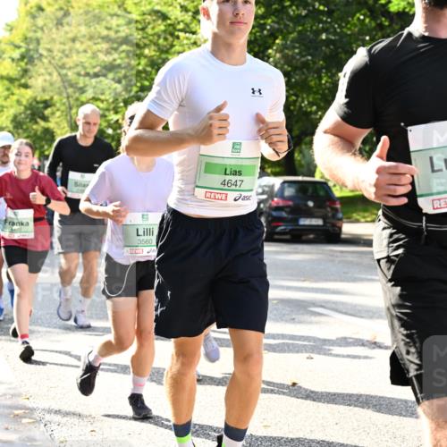 20.09.2026 - PSD Bank Halbmarathon Dr. Thomas Lammeyer http://msf.ph/oto/10502124 20.09.2026 10:56:57 Laufen 3560, 8, 4647, 3533, 4032 meine-sportfotos.de