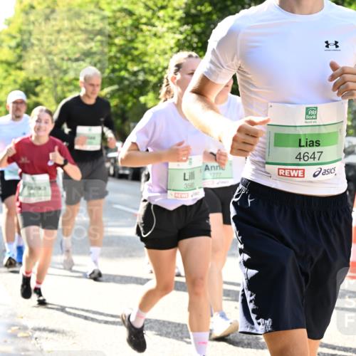20.09.2026 - PSD Bank Halbmarathon Dr. Thomas Lammeyer http://msf.ph/oto/10502127 20.09.2026 10:56:57 Laufen 3560, 3777, 4647 meine-sportfotos.de